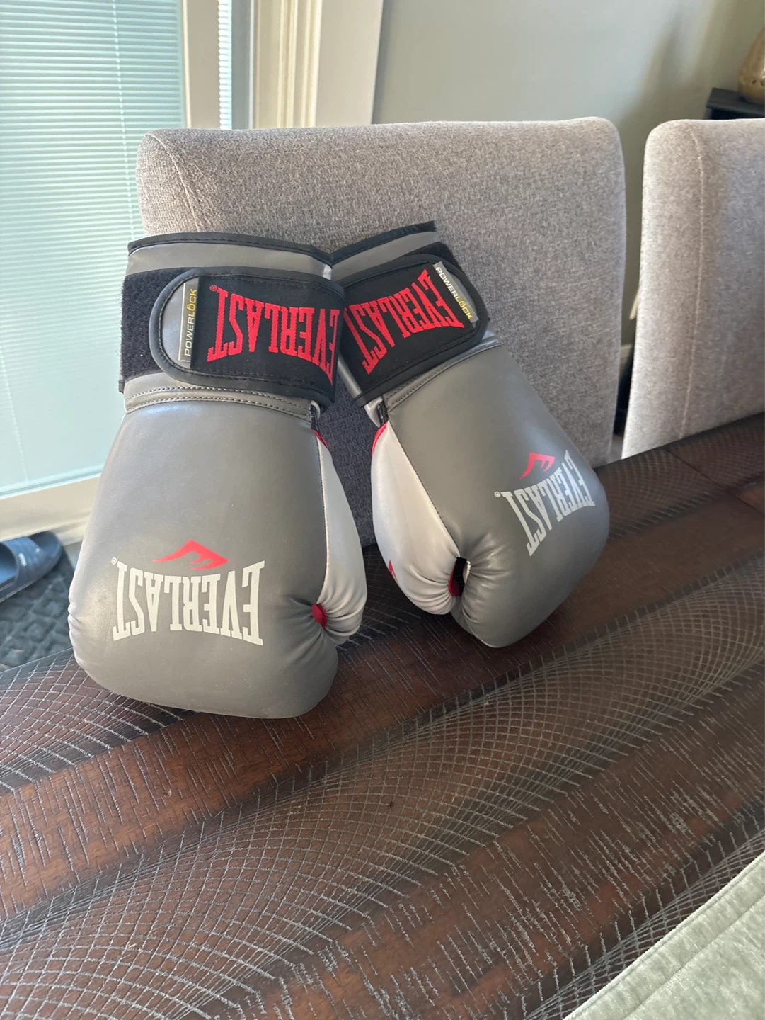 Everlast Boxing Gloves