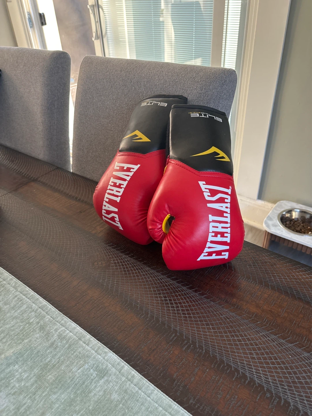 Everlast Elite Boxing Gloves