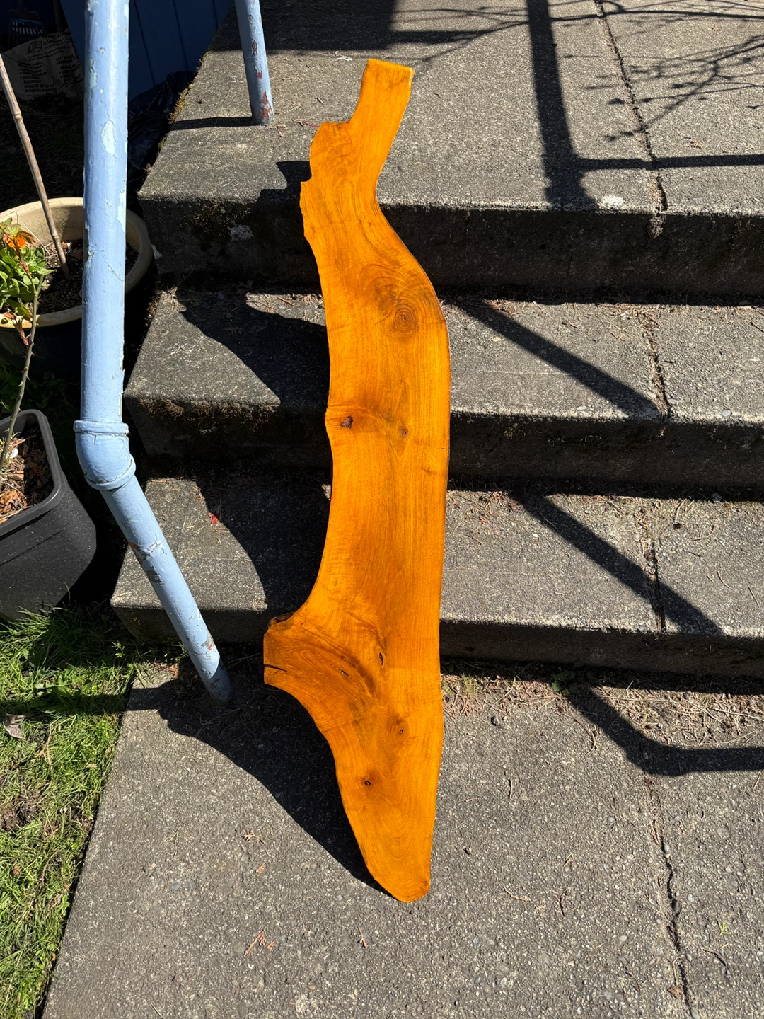 Live edge wood shelf