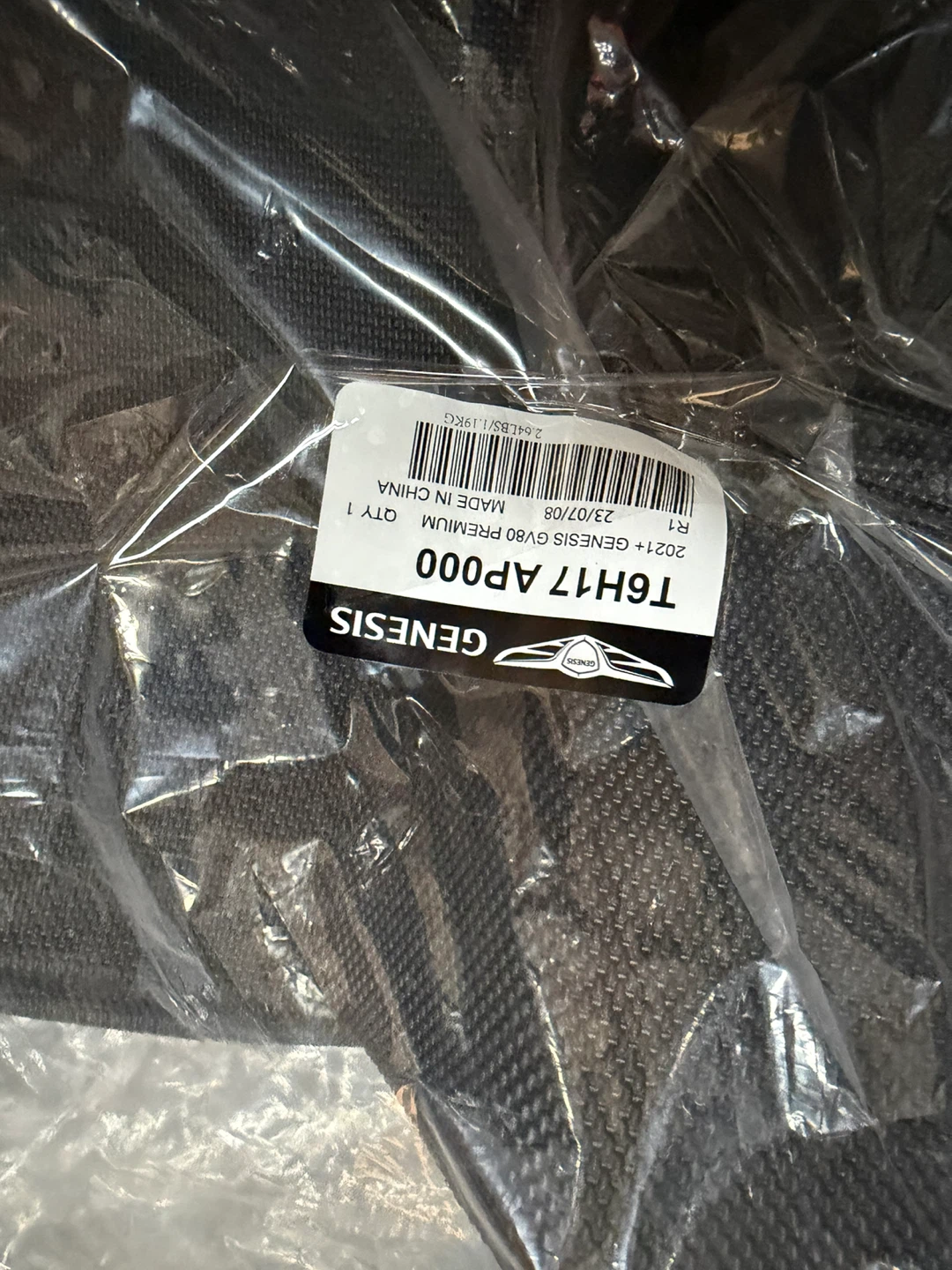 Genesis T6H17 AP000 Floor Mat