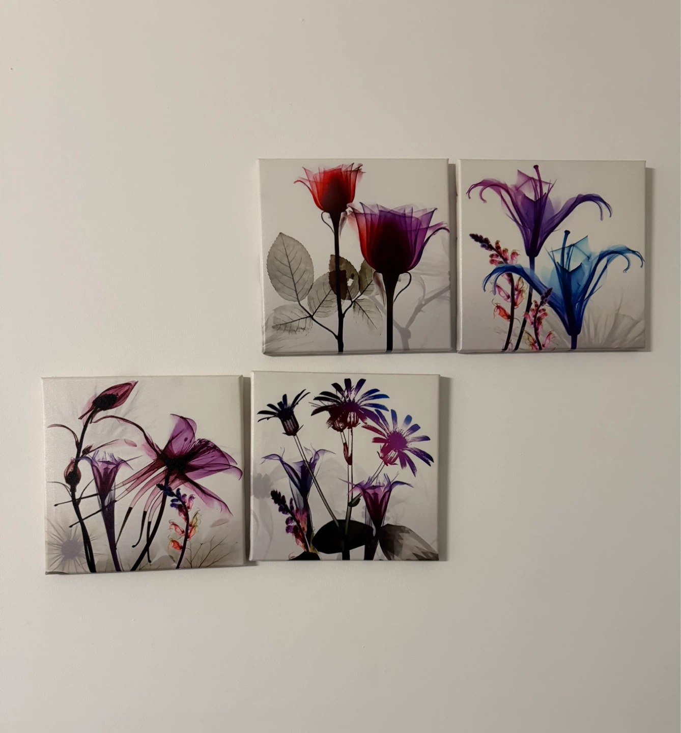 Floral Art Canvas Prints (Set of 4)
