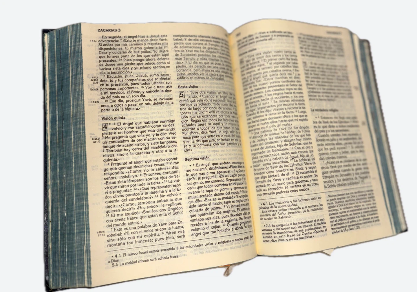 La Biblia Letra Grande Edicion Pastoral - photo 3