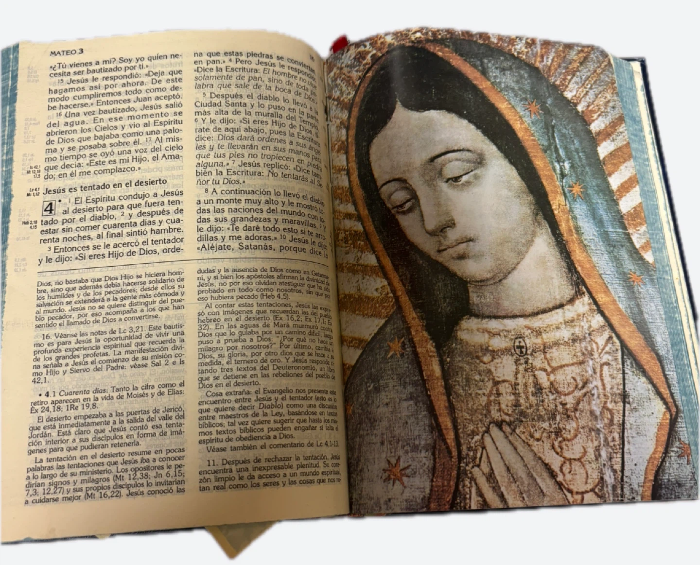 La Biblia Letra Grande Edicion Pastoral - photo 4
