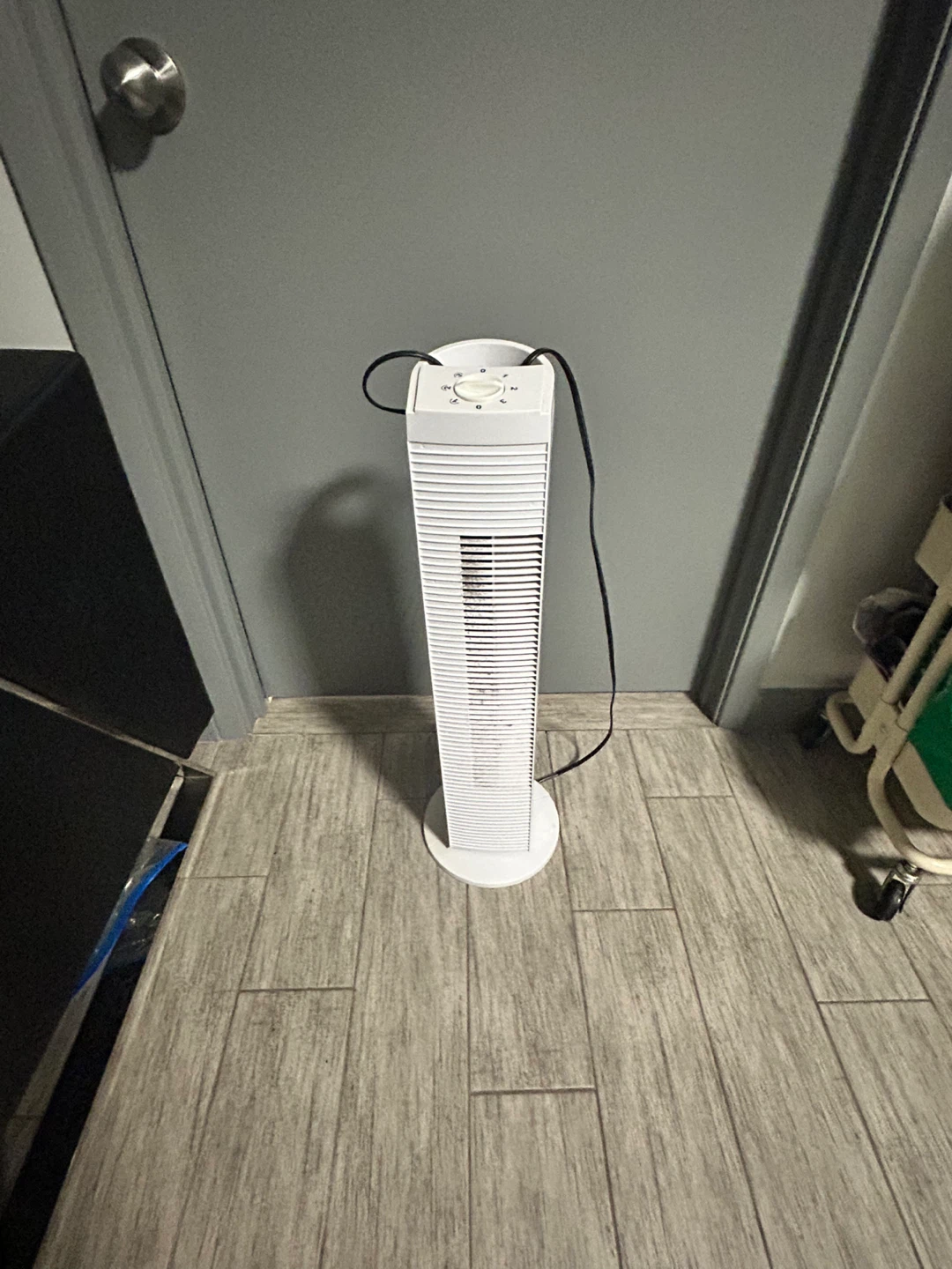 White Tower Fan - photo 3