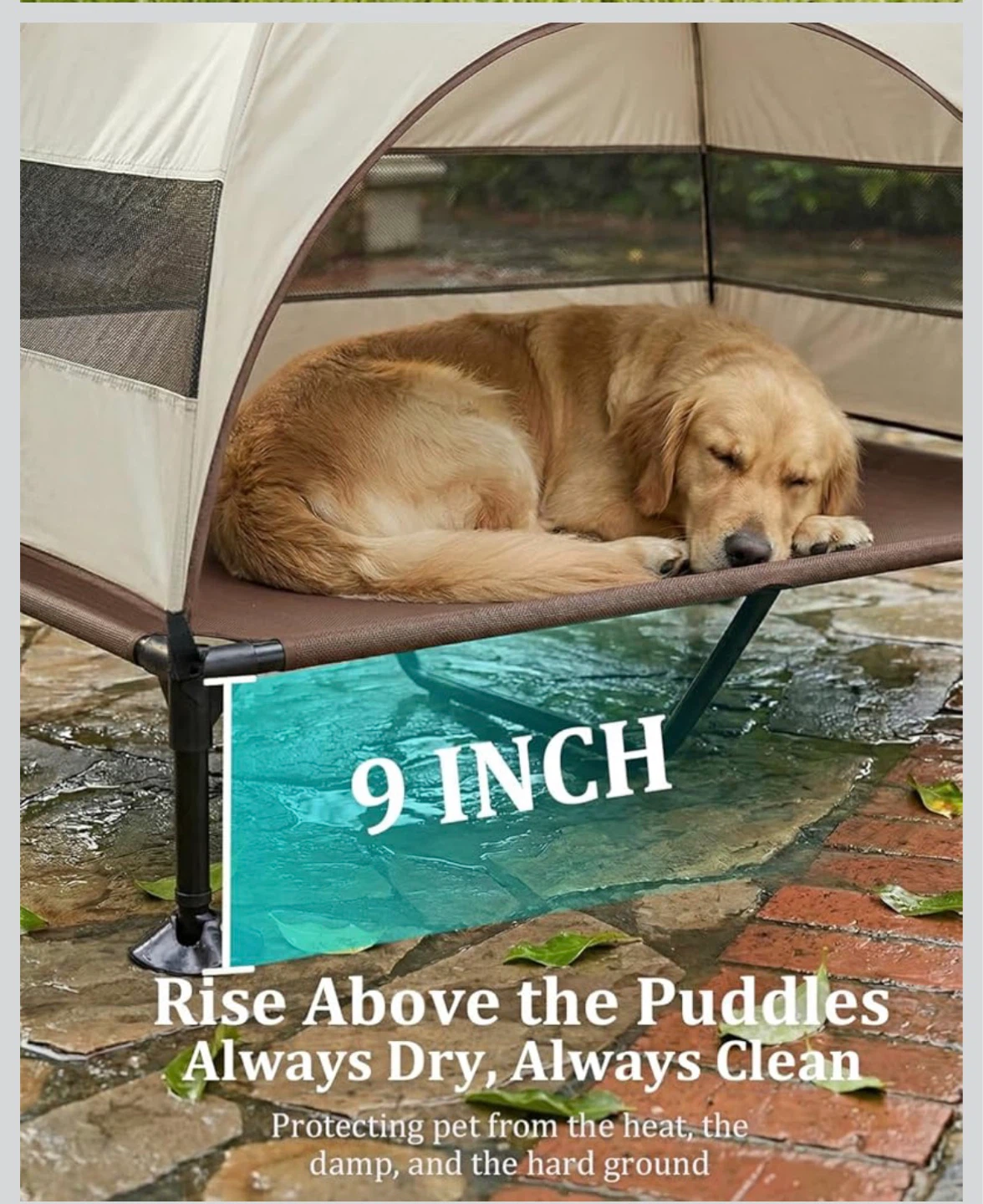 Elevated Dog Bed with Canopy – Outdoor Cooling Pet Cot - photo 5