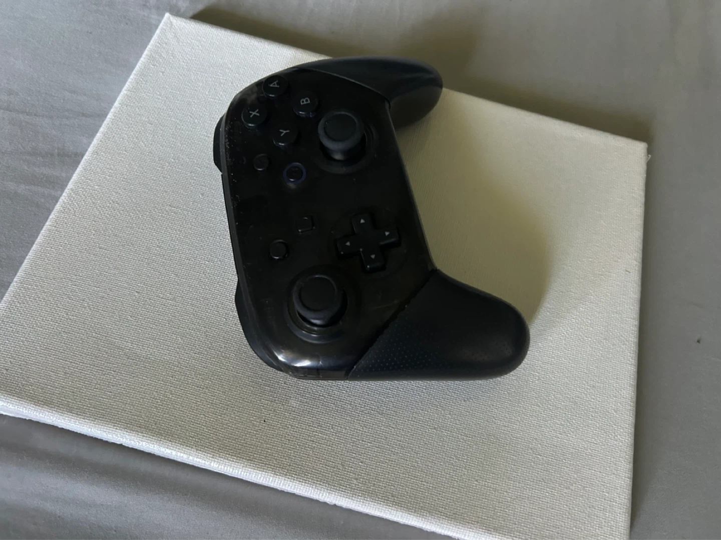 Nintendo switch pro controller