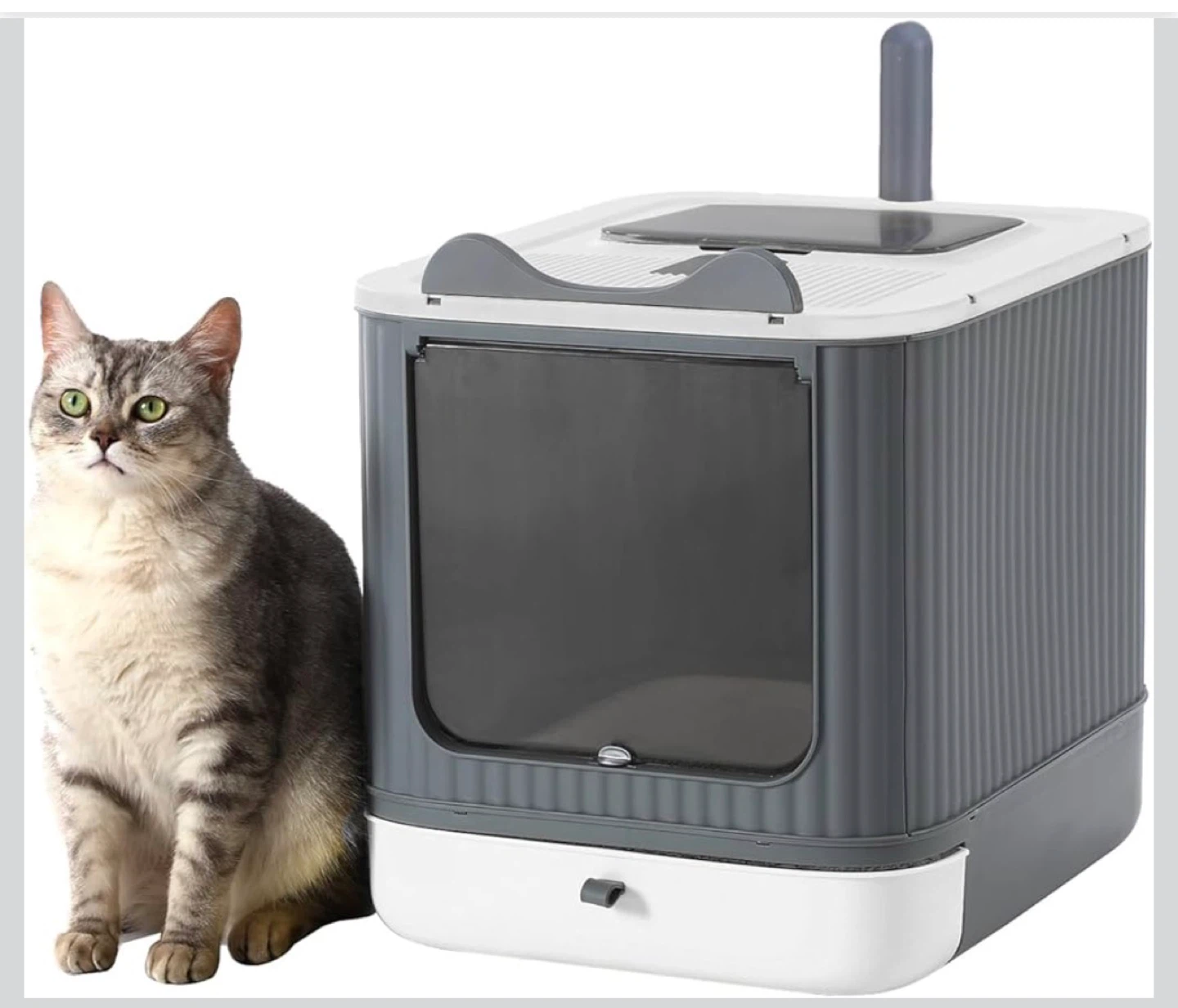 Cat Litter Box with Lid – Enclosed, Easy Clean - photo 2