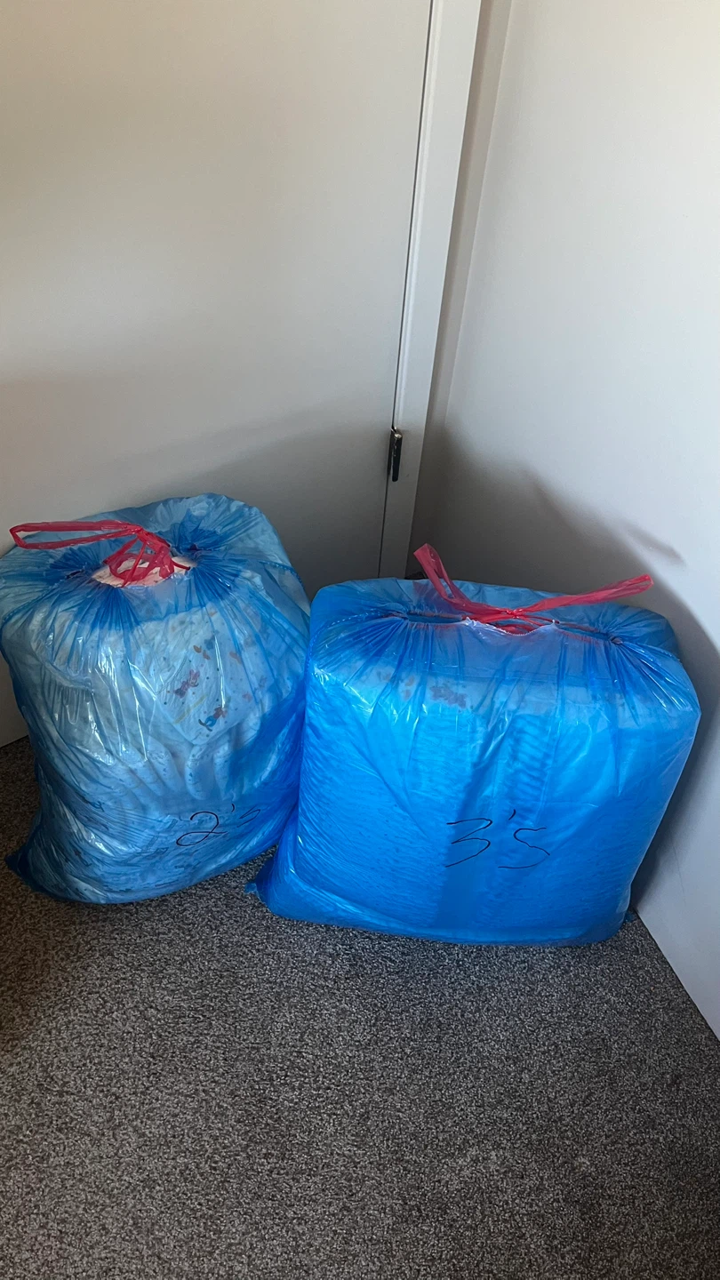 Size 2 & 3 Huggies Diapers - photo 2