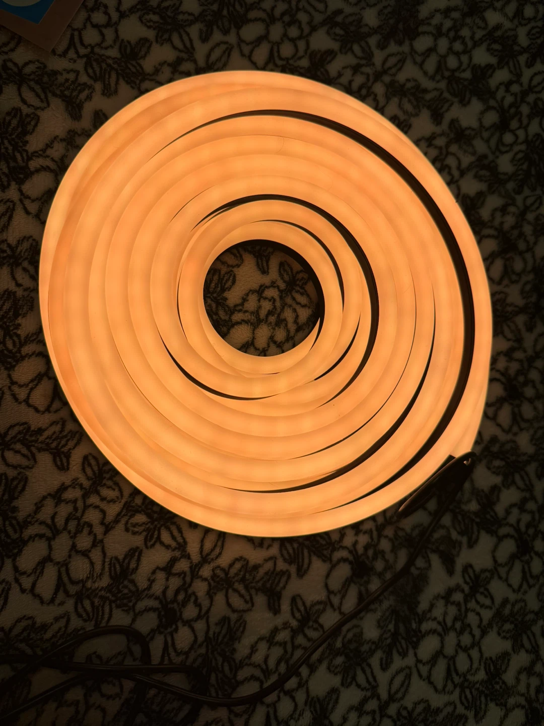 Govee Outdoor Neon Rope Lights RGBIC IP67 - 32.8 ft - photo 4