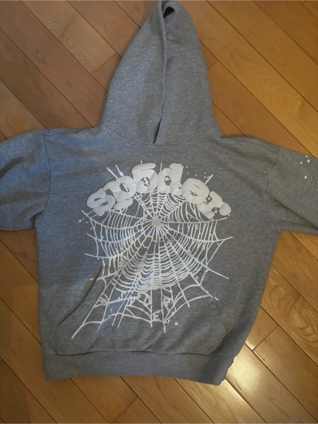 Sp5der hoodie (size small)
