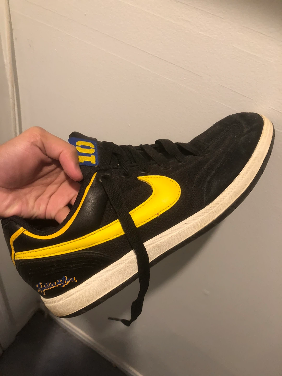 Nike Skate Shoes