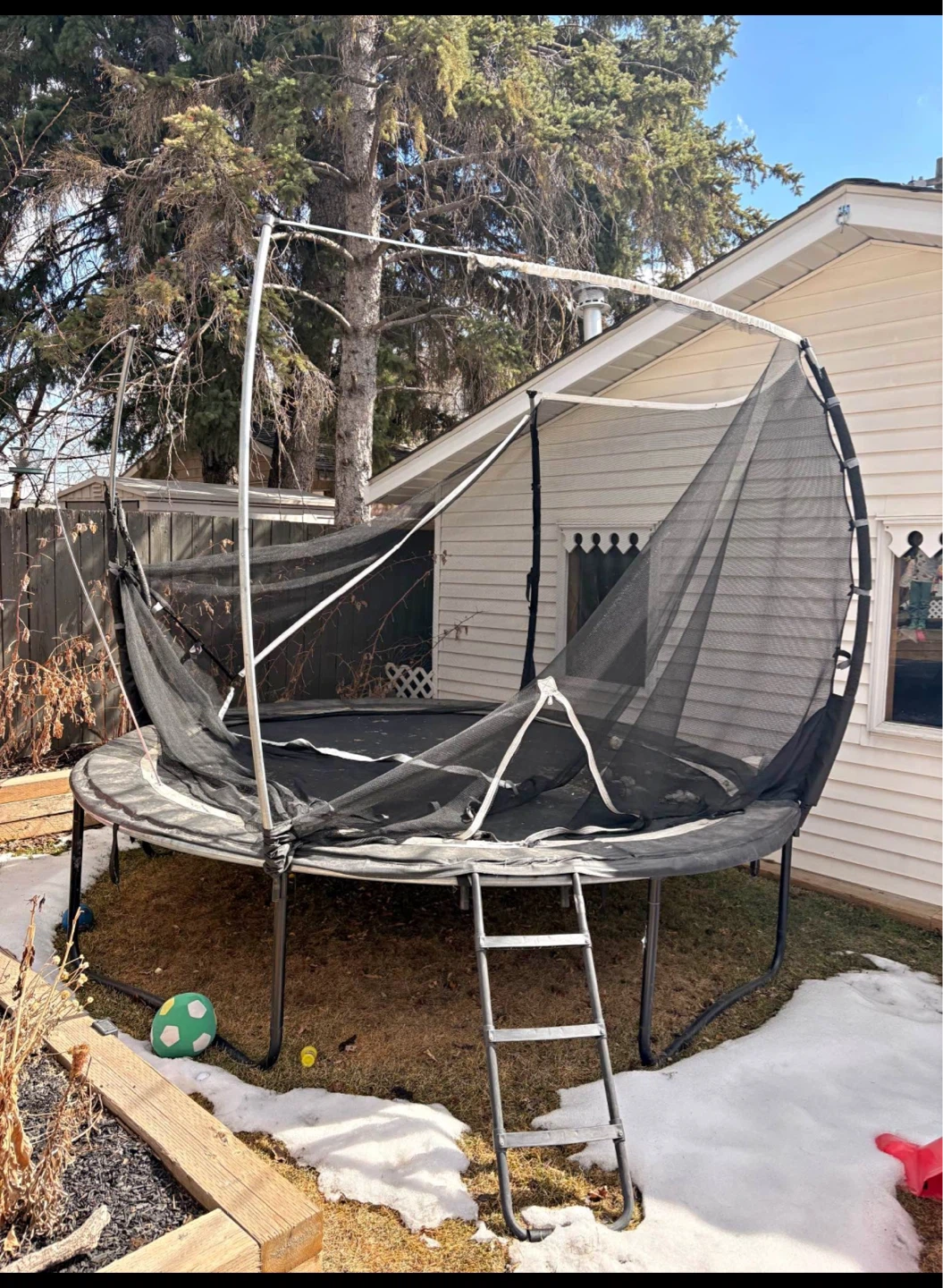 Large Trampoline with Safety Net and Ladder