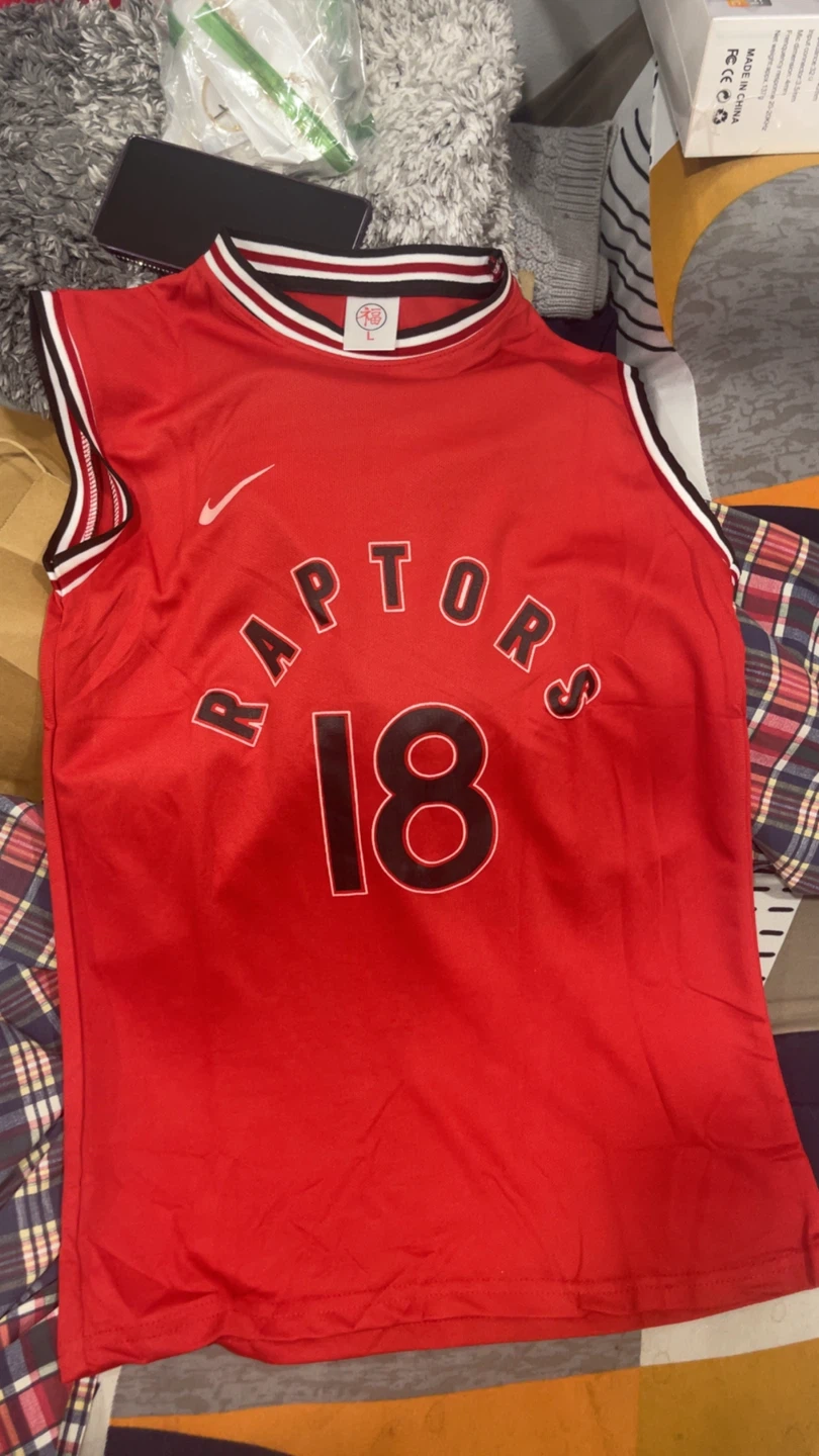 Nike Toronto Raptors Basketball Jersey #18 - photo 3