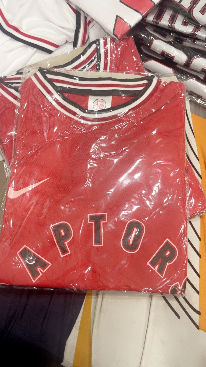 Nike Toronto Raptors Basketball Jersey #18 - photo 4