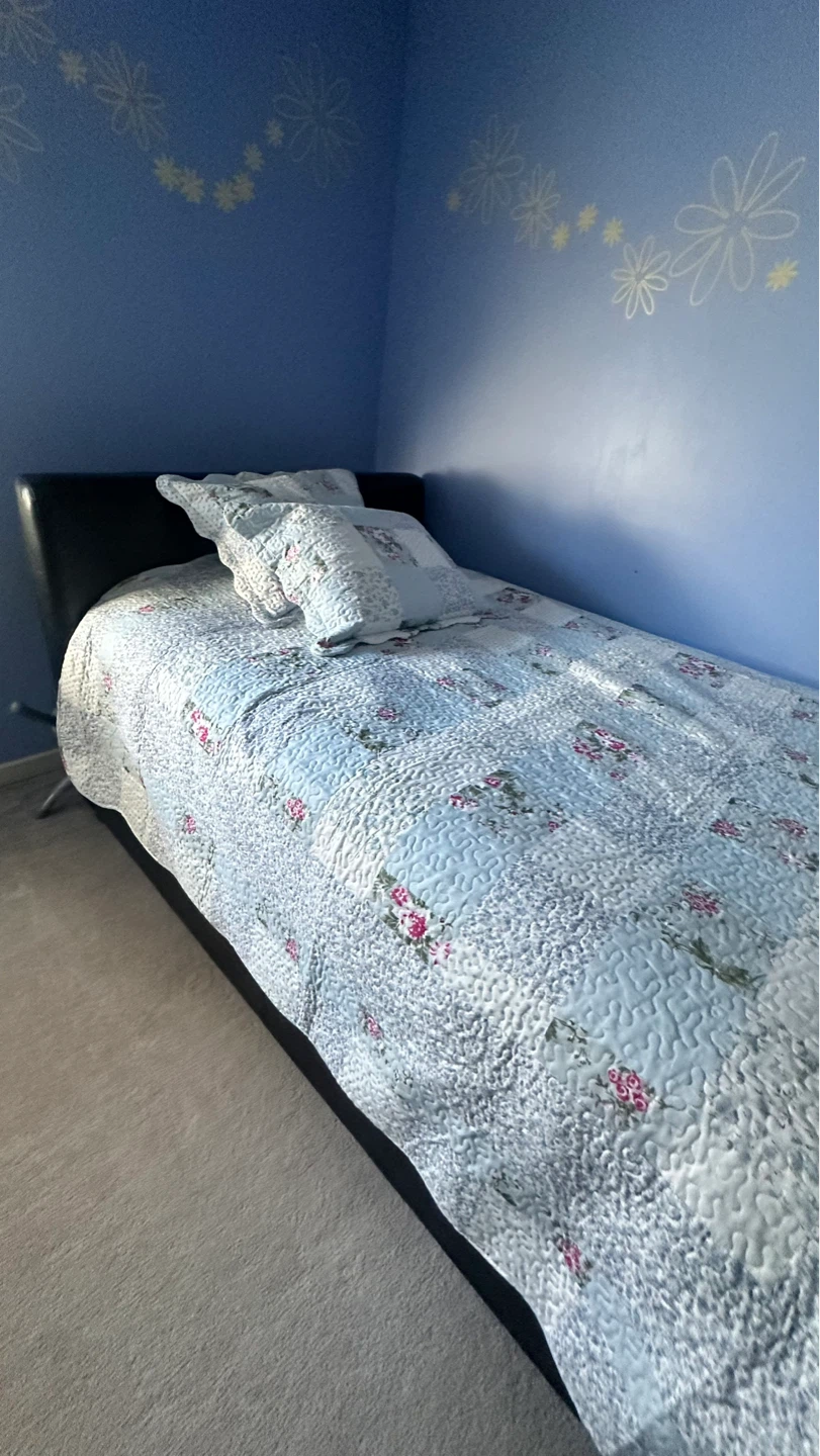 Single Bed Frame including the mattress and box springs