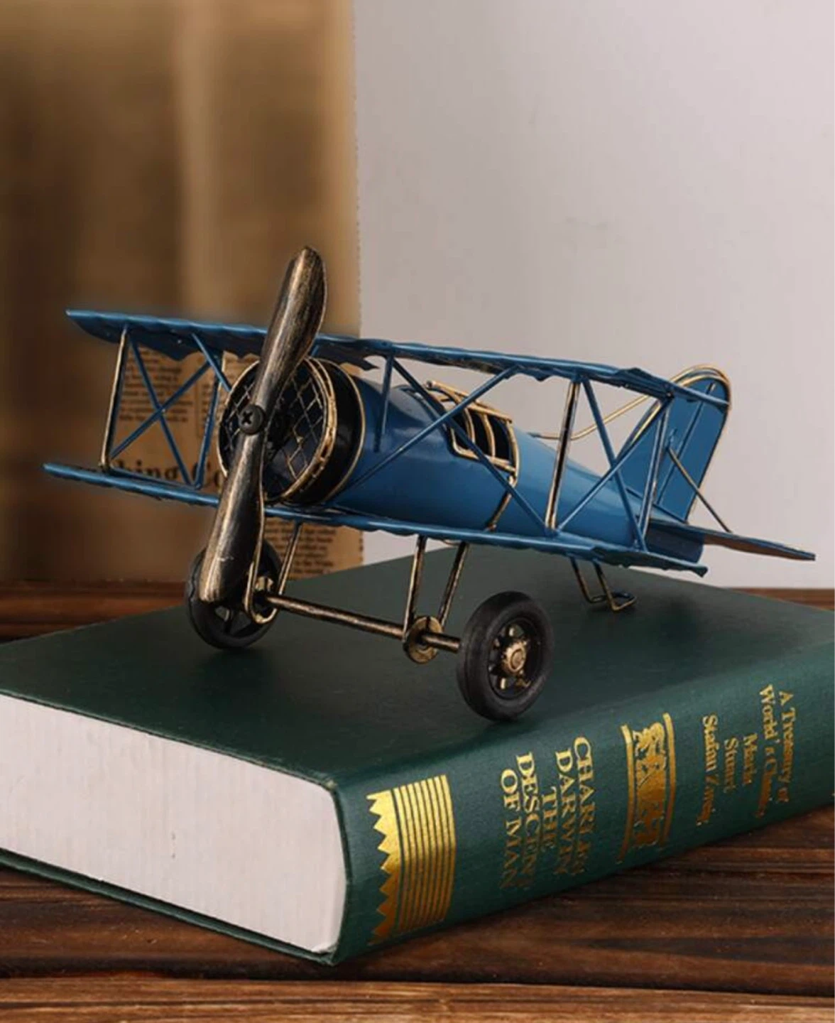 Blue Vintage Biplane Model (-20% off 😍)