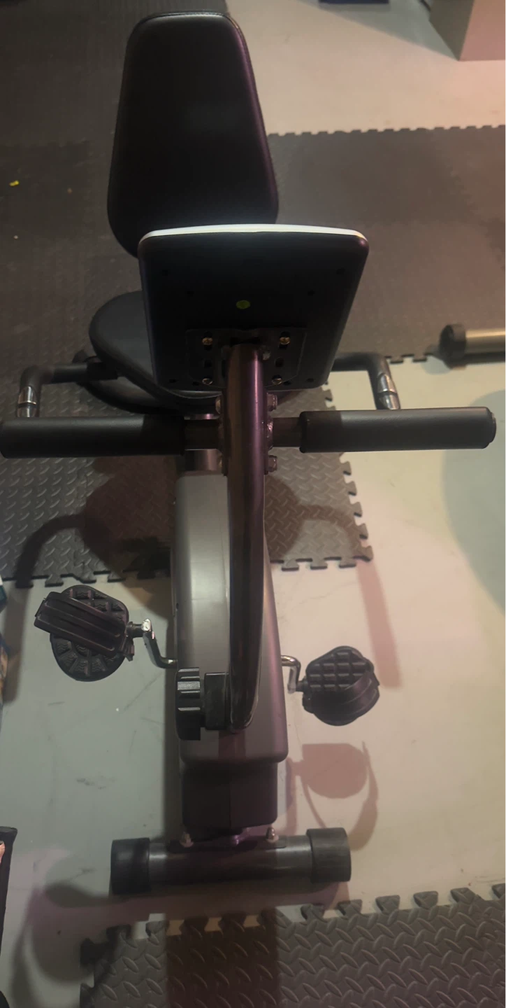 Recumbent Exercise Bike