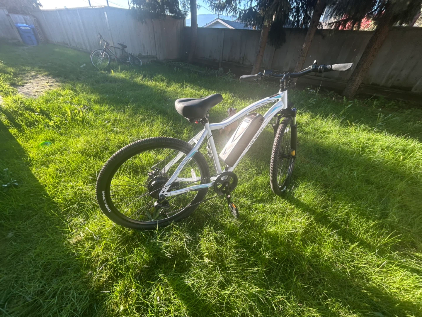 E-Bike - photo 4