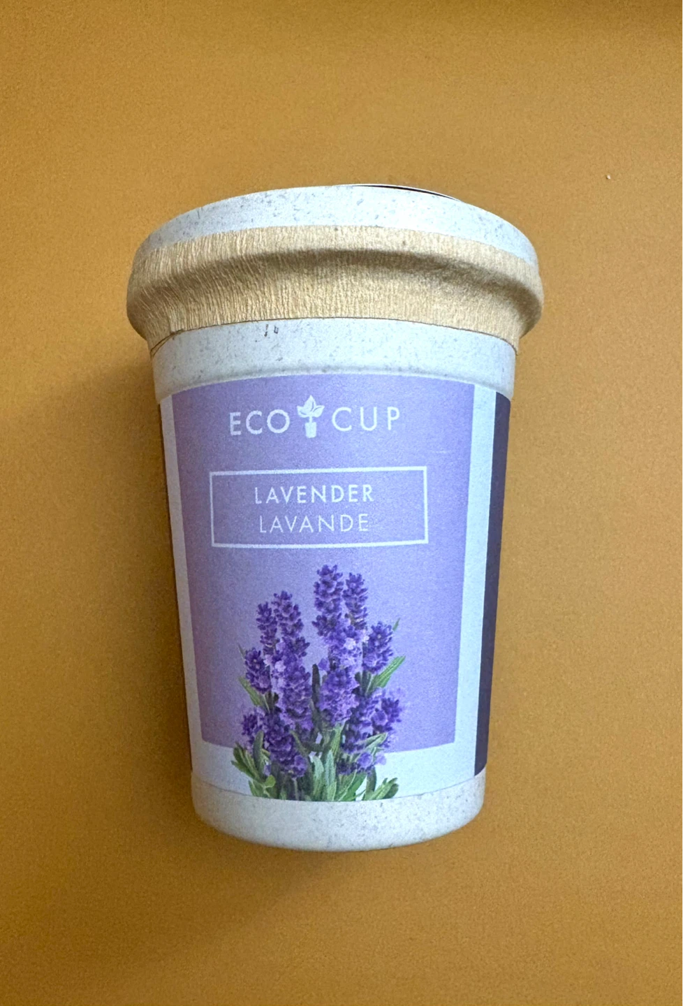 New! Eco Cup Lavender grow kit indigo