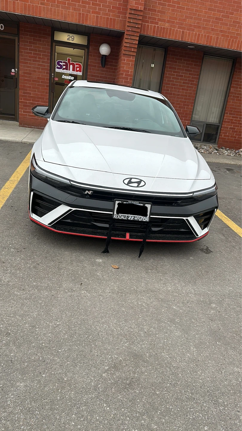 2025 Hyundai Elantra N - photo 5