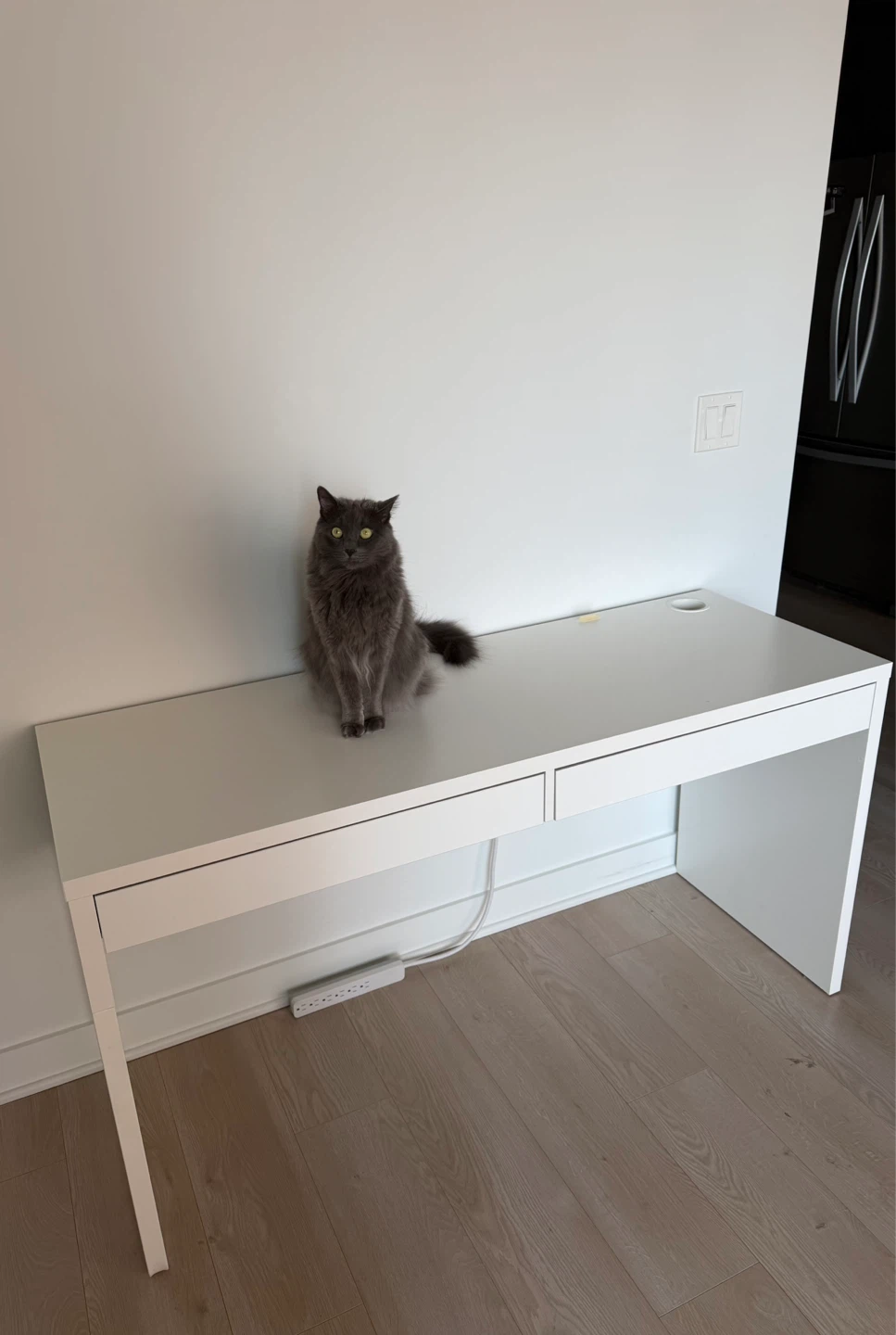 IKEA Micke Desk - White