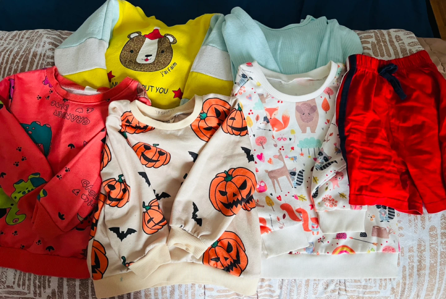 5 tops,5 pants,1 shorts (18-24 months)
