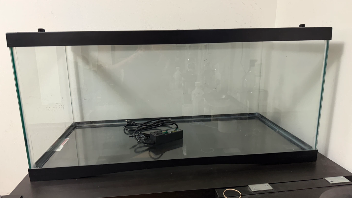 Glass terrarium with mesh lid