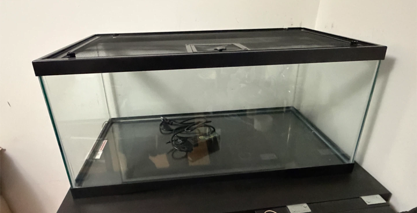Glass terrarium with mesh lid - photo 5