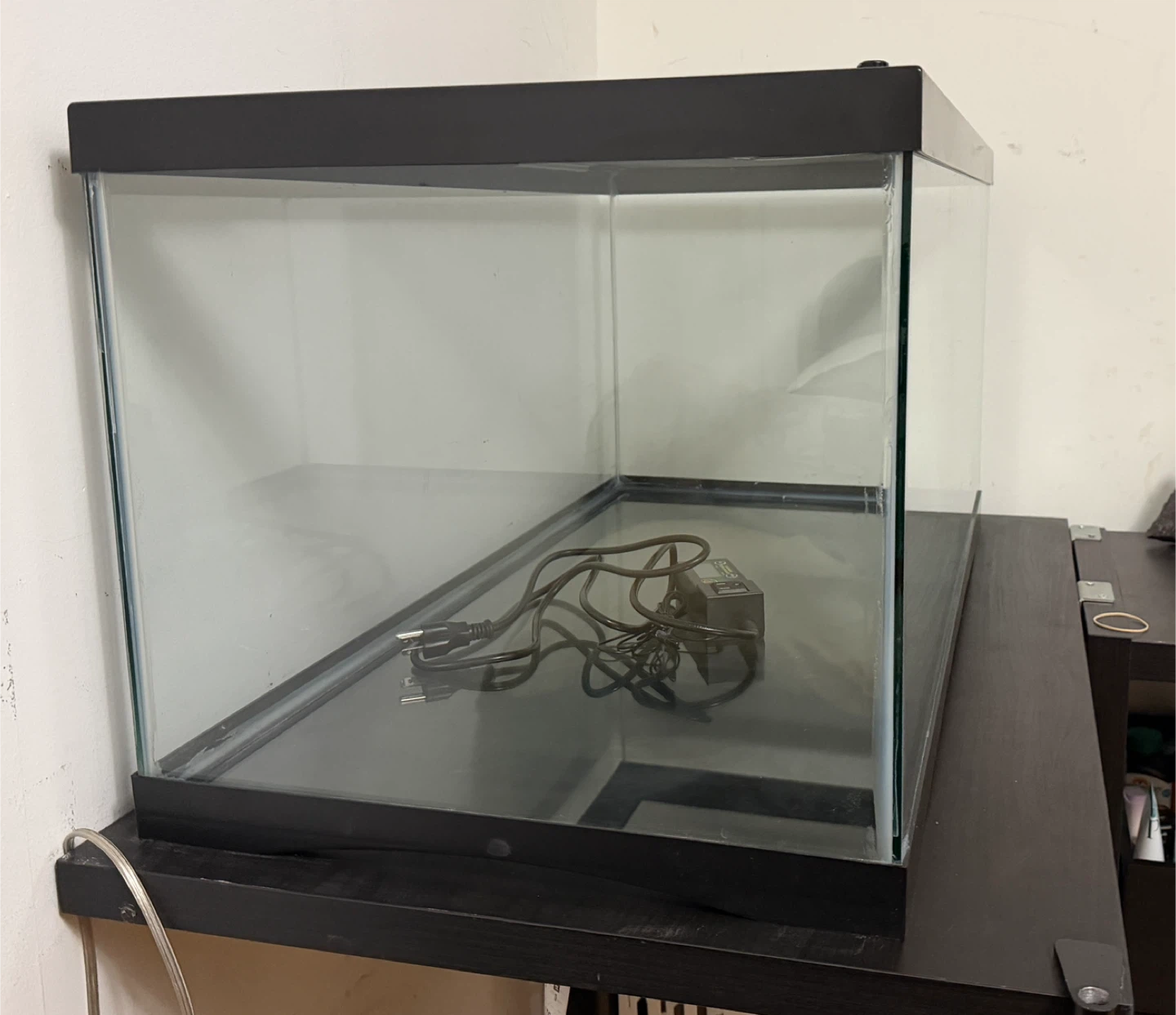 Glass terrarium with mesh lid - photo 4