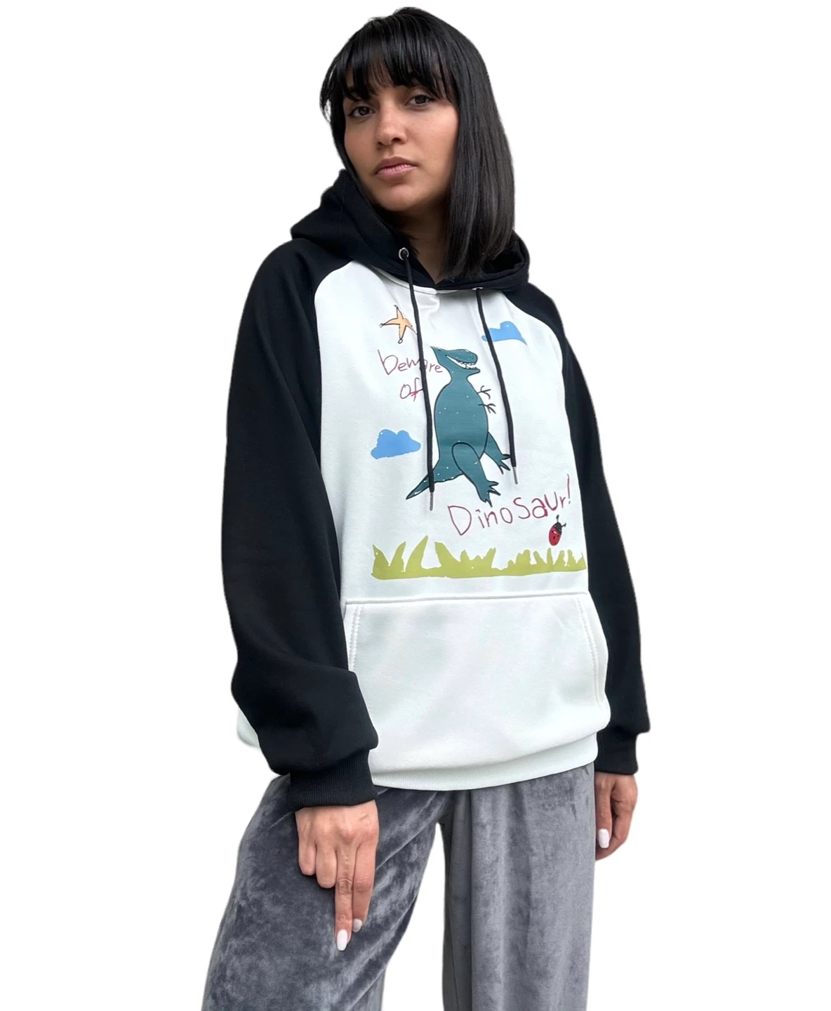 Kids Dinosaur Graphic Hoodie - photo 2