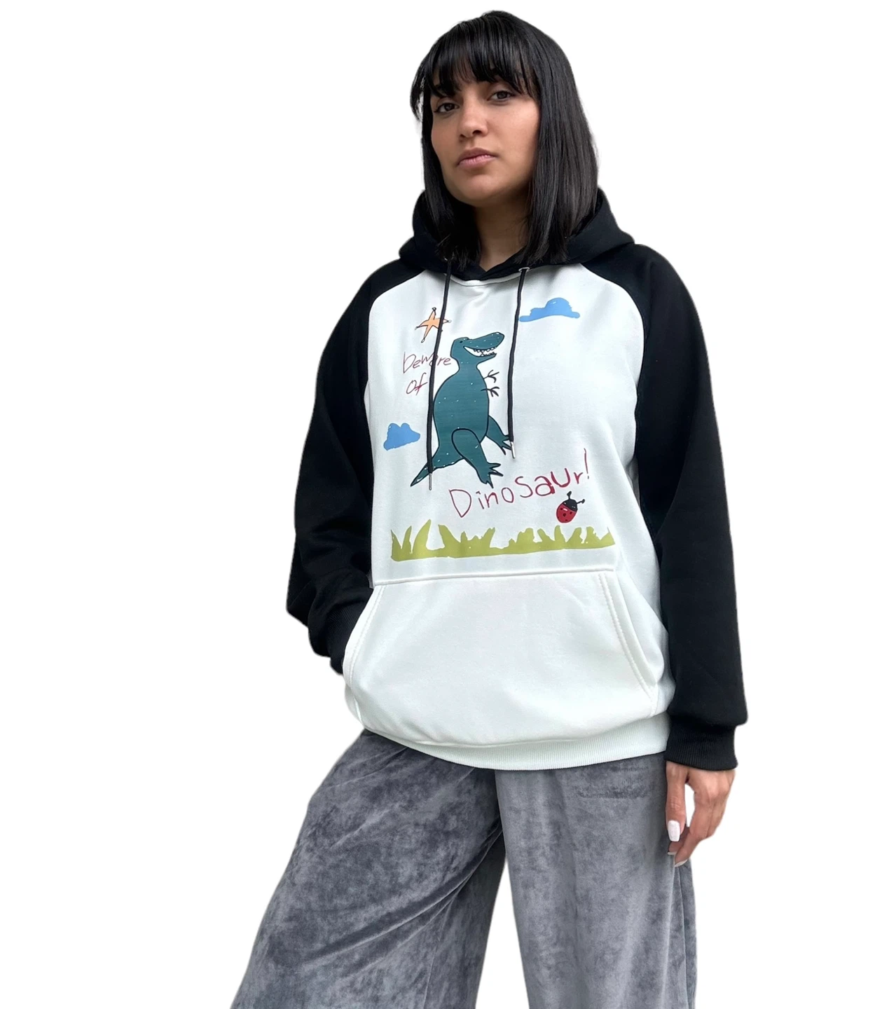Kids Dinosaur Graphic Hoodie - photo 3