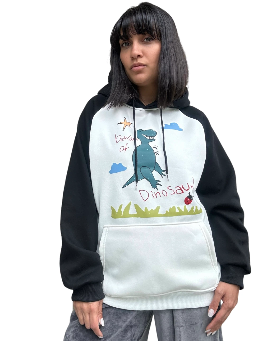 Kids Dinosaur Graphic Hoodie - photo 4