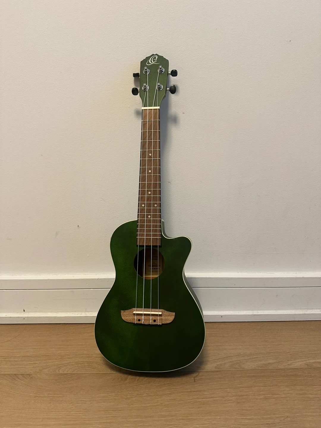 Green Ukulele with Gig Bag
