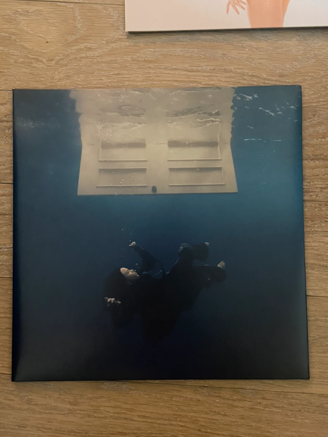 Hit Me Hard and Soft Vinyl