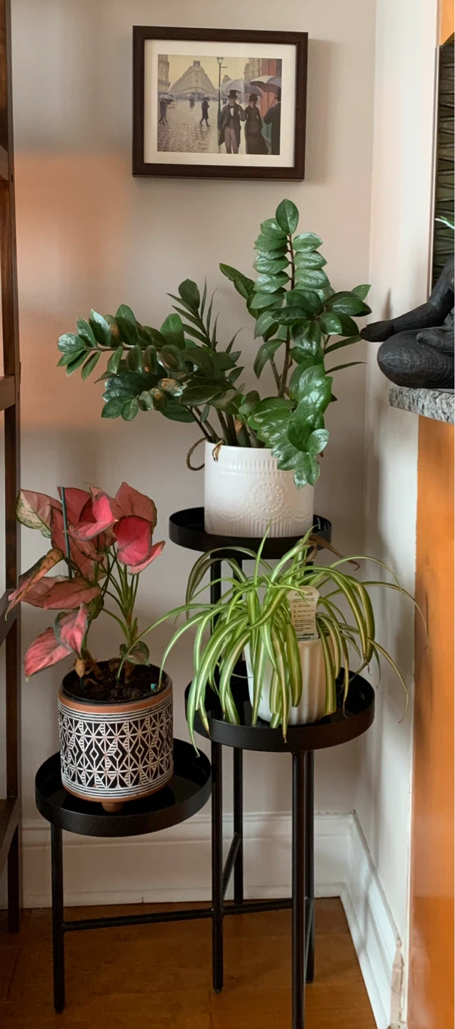 Heavy Boutique 3-Tier Plant Stand - High Gloss Black