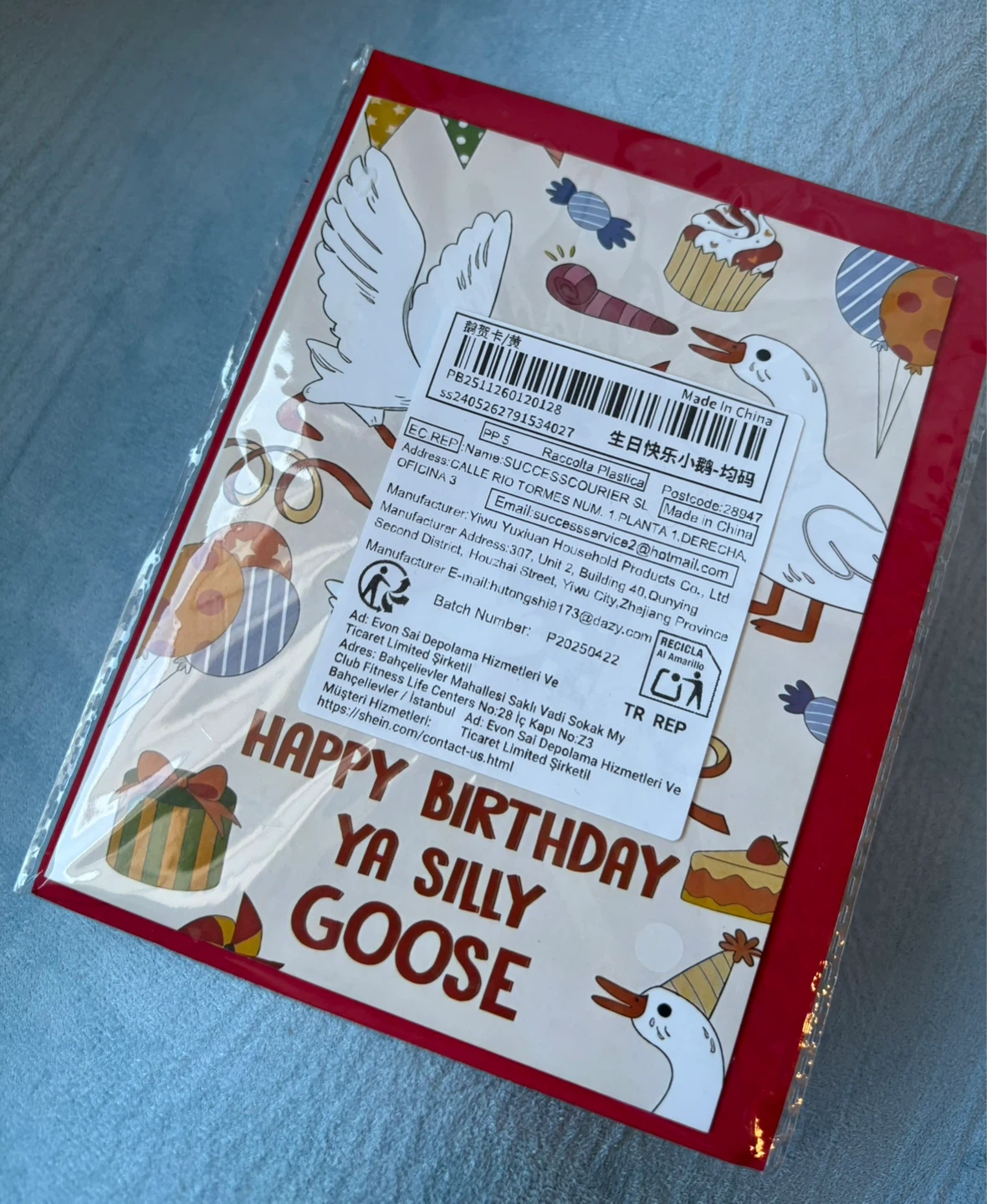 Happy Birthday Ya Silly Goose Card