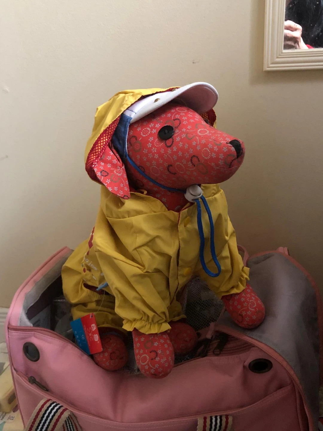Yellow Dog Raincoat with Hood - photo 2