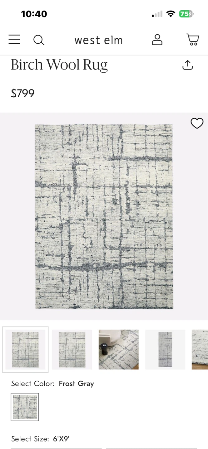 West Elm Birch Wool Rug - Frost Gray, 6'X9'