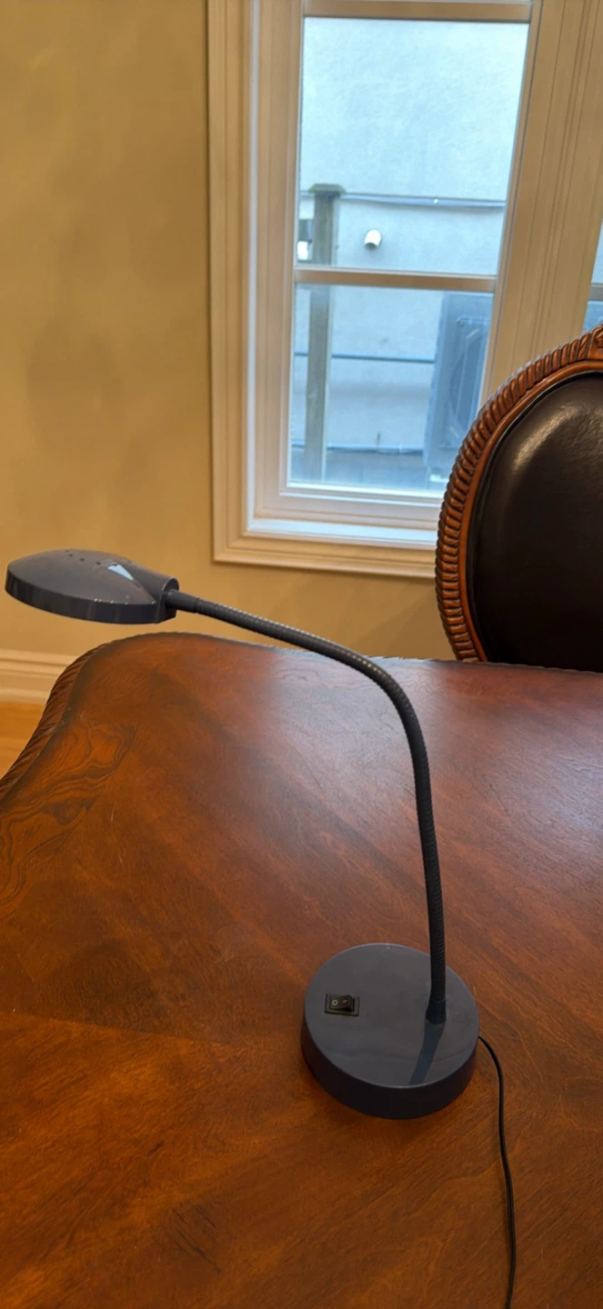 Grey Gooseneck Desk Lamp