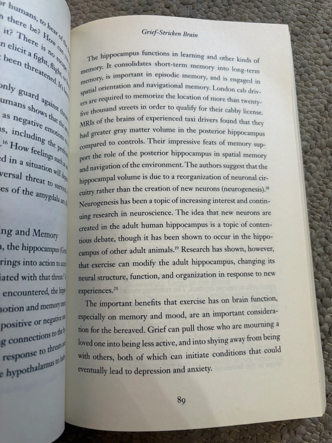 The Anatomy of Grief Paperback - photo 2