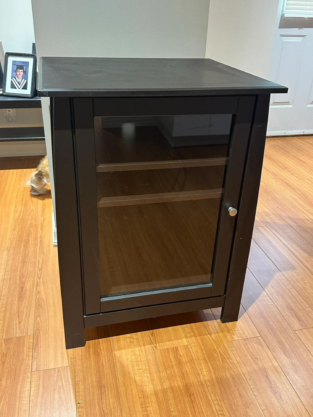 Cute ! Dark Brown Media Cabinet with Glass Door - photo 4