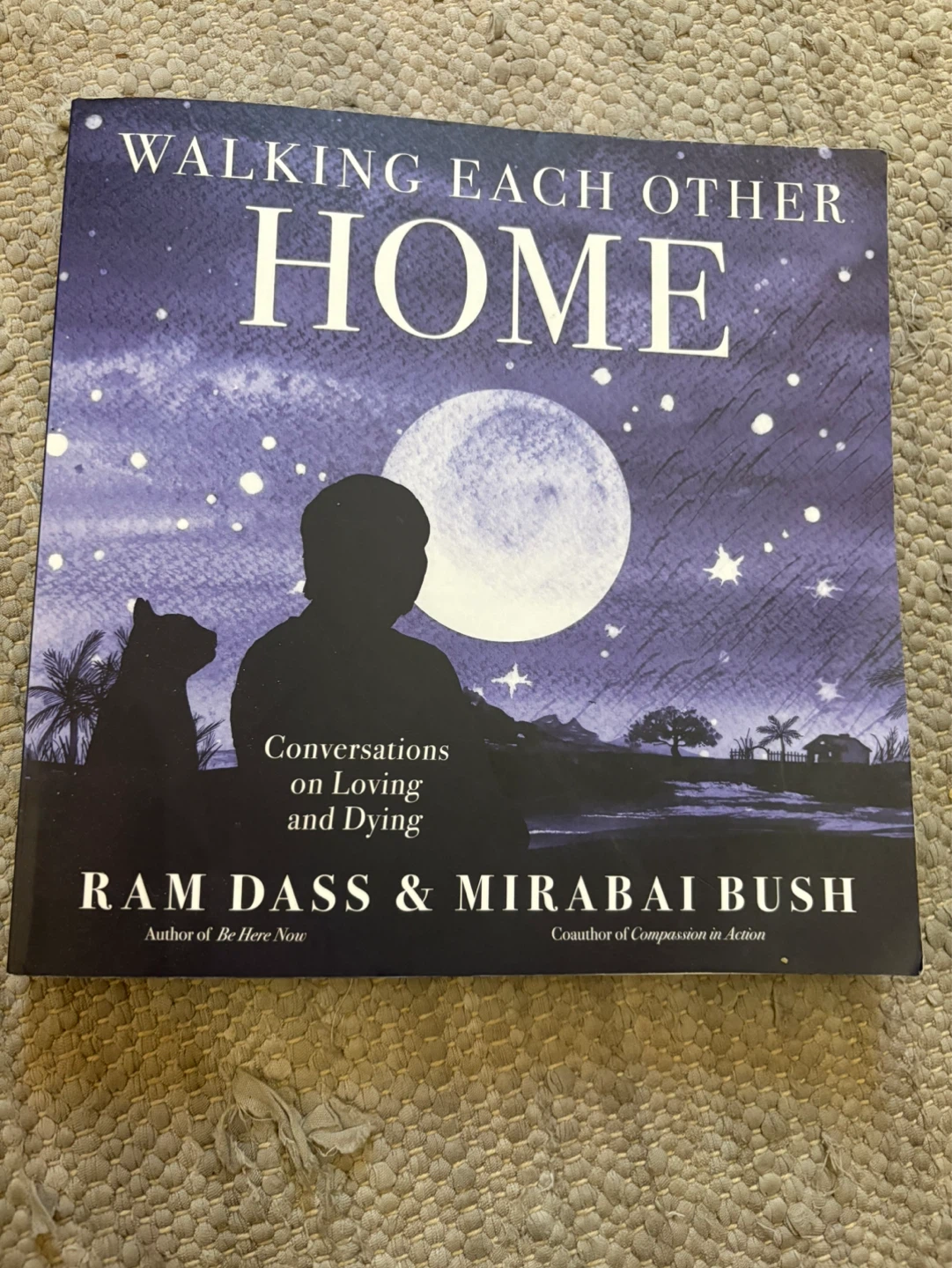 Walking Each Other Home Paperback