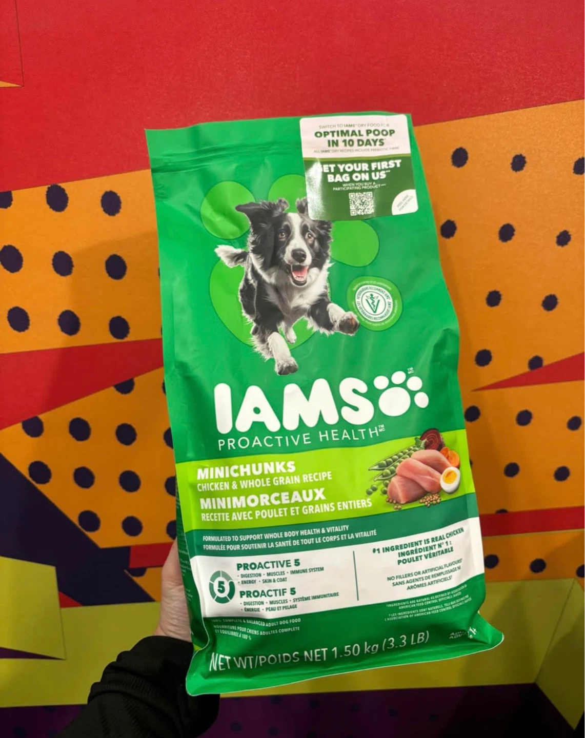 Iams Proactive Health Minichunks Chicken & Whole kg