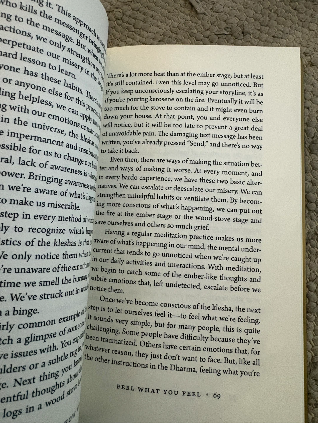 How We Live Is How We Die by Pema Chödrön - photo 2