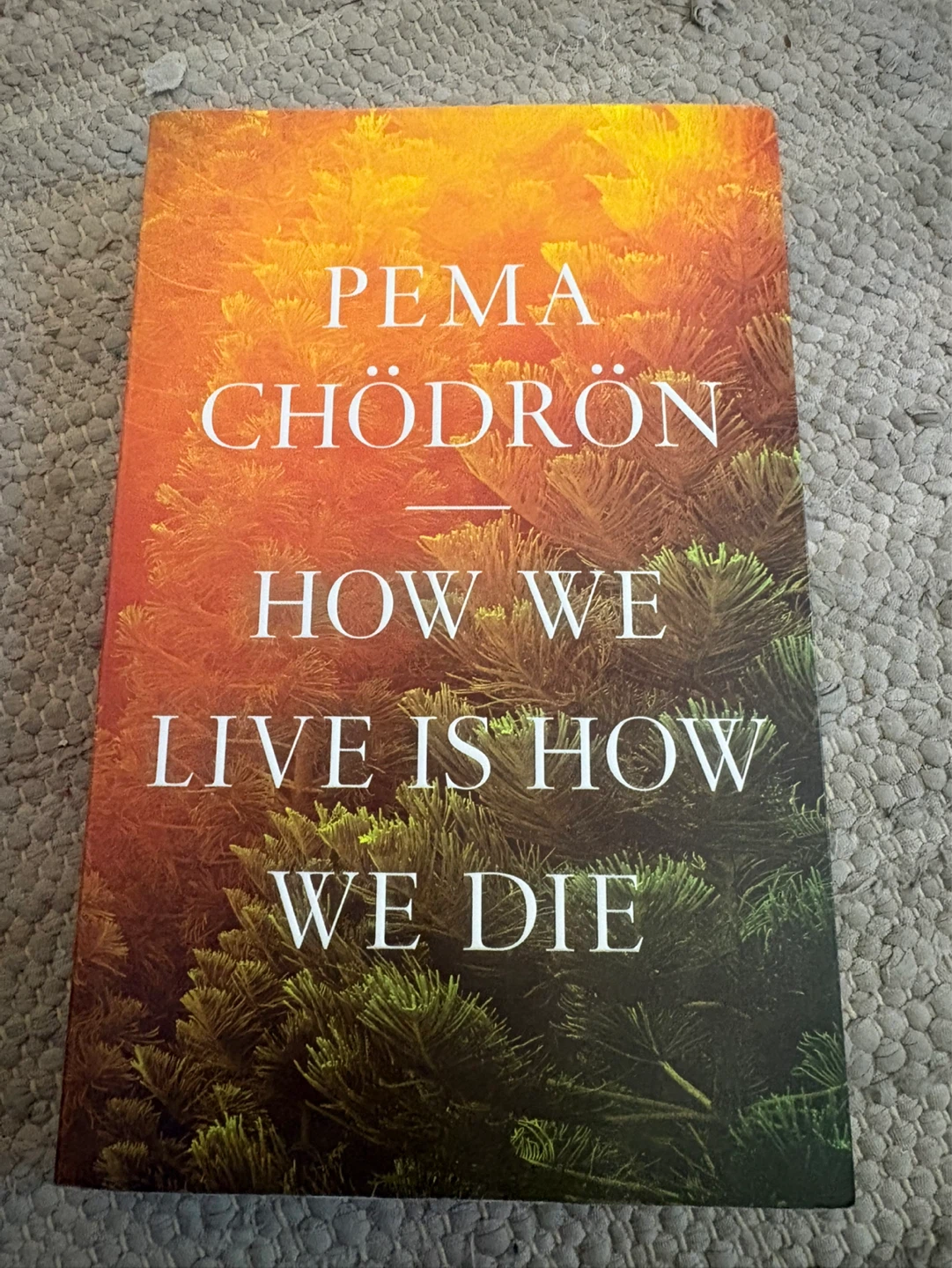 How We Live Is How We Die by Pema Chödrön
