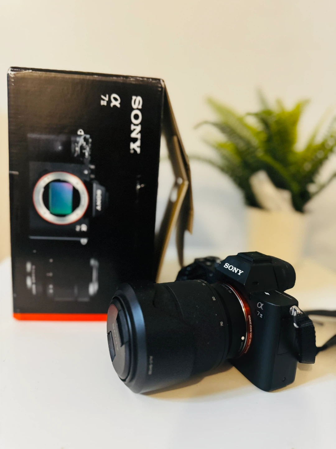 Sony Alpha 7 II Mirrorless Digital Camera