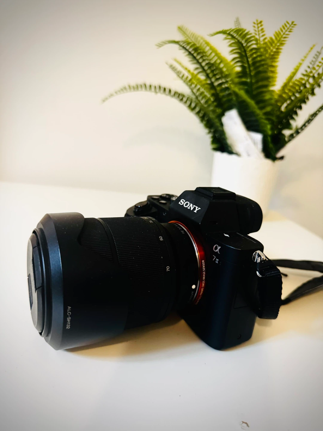 Sony Alpha 7 II Mirrorless Digital Camera - photo 2
