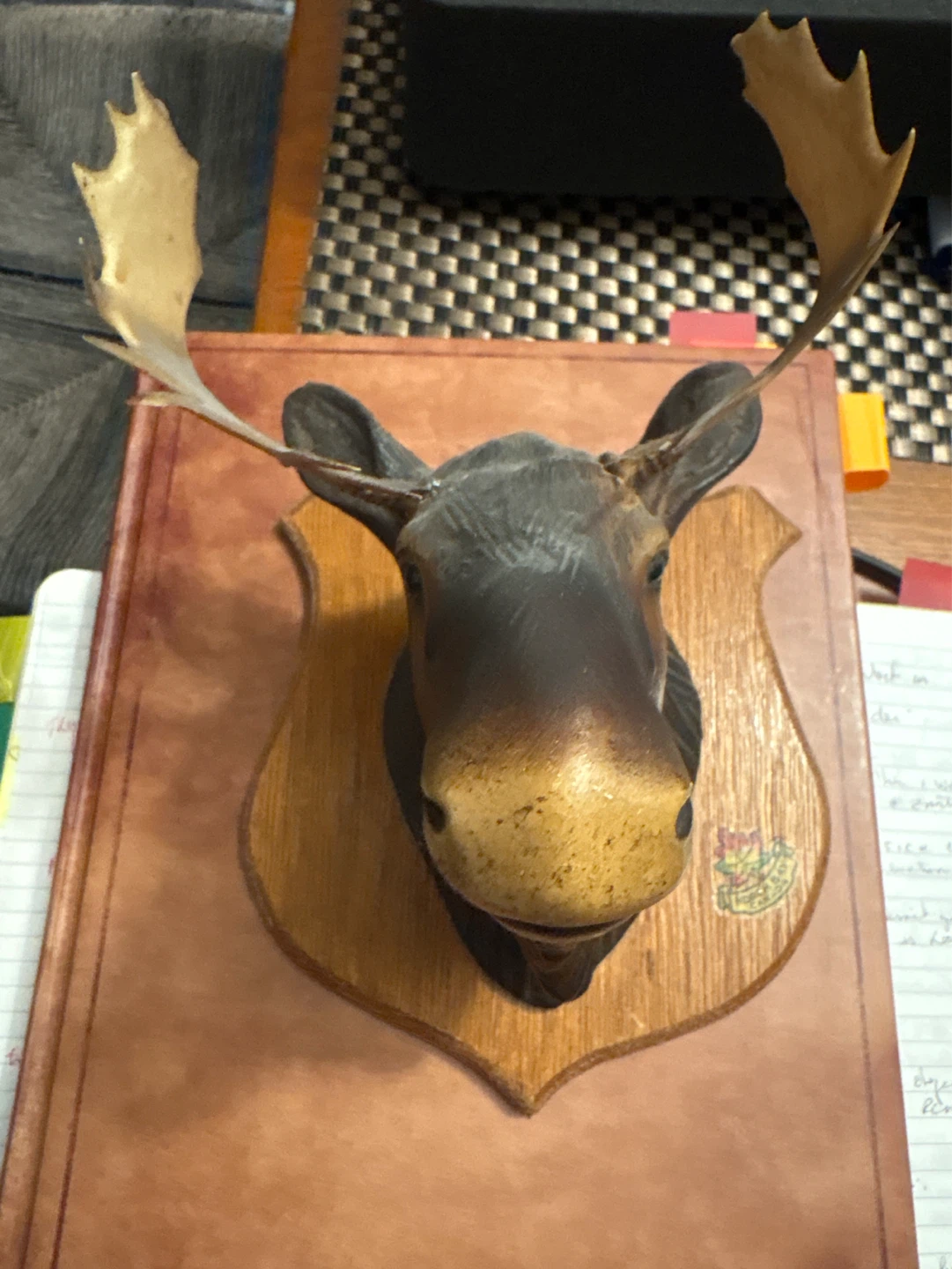 Mounted Moose Head Wall Decor