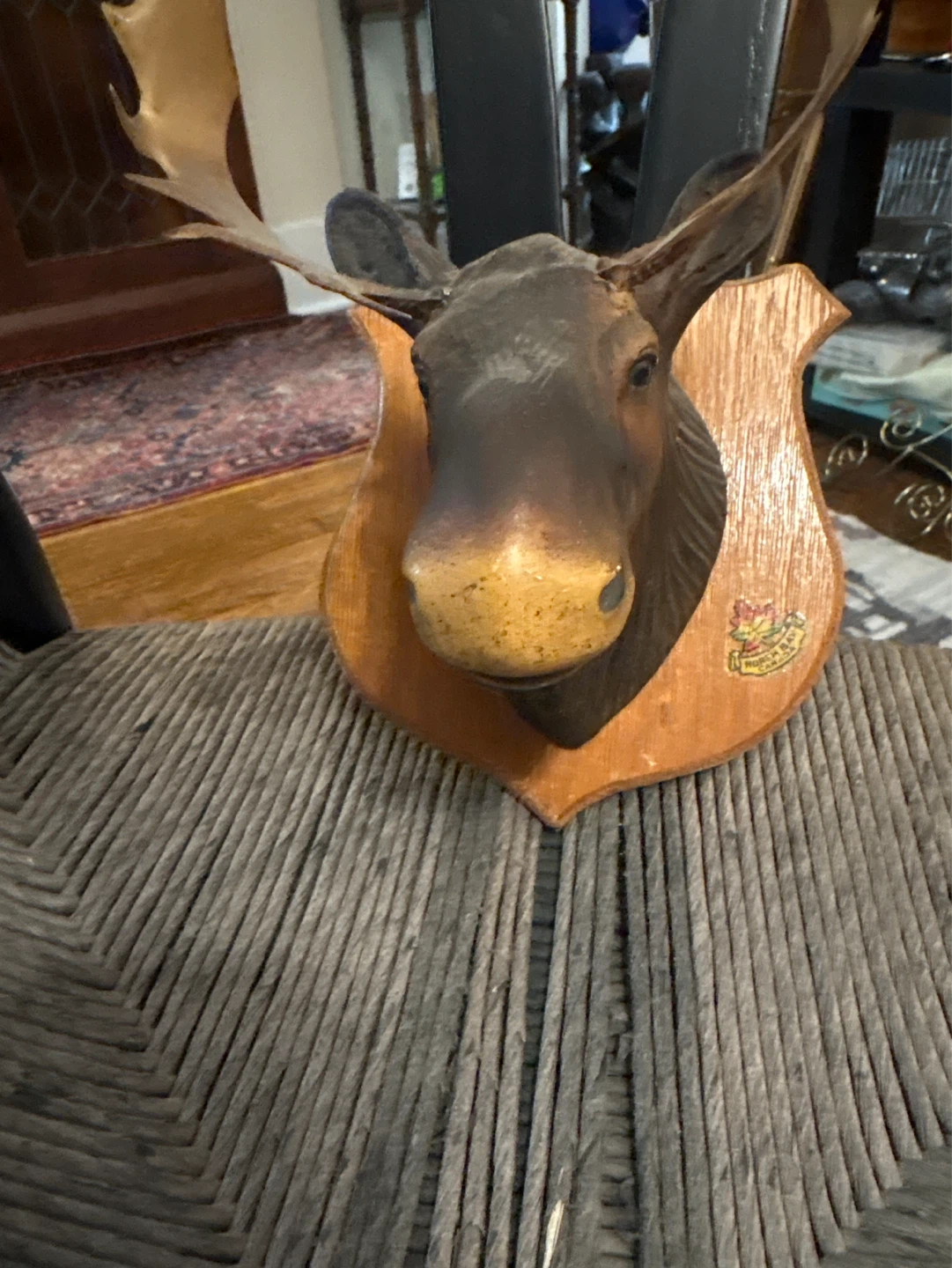 Mounted Moose Head Wall Decor - photo 3