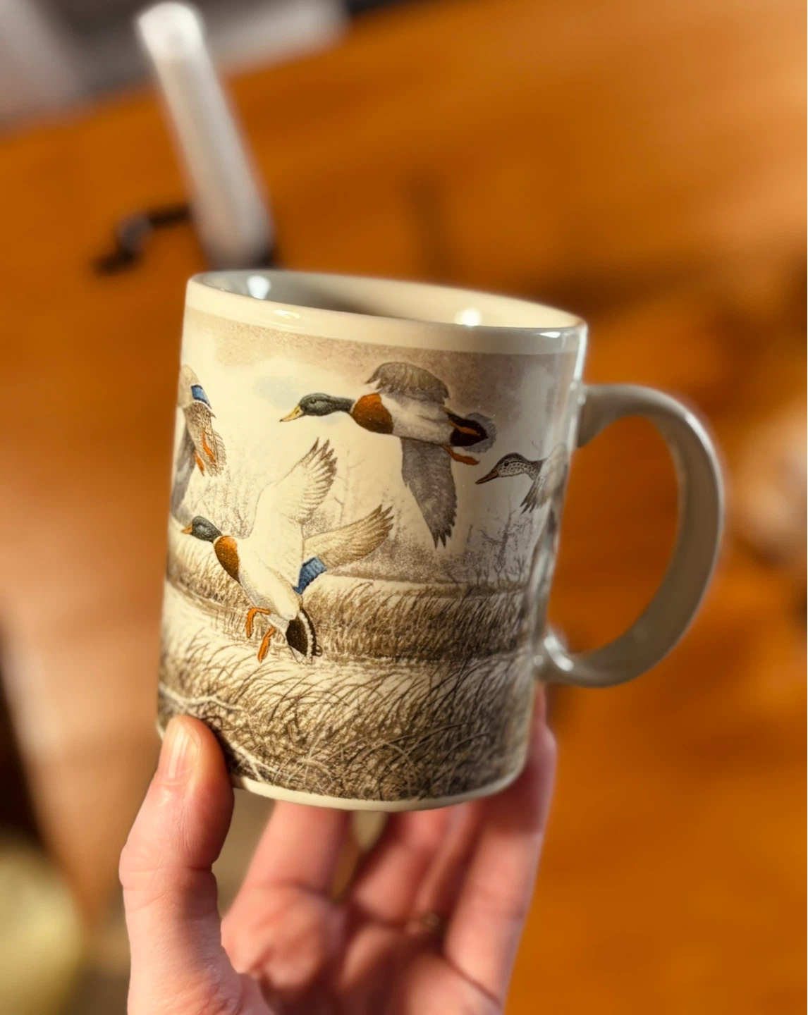 Vintage OTAGIRI USA Ceramic Mug with Ducks Scene